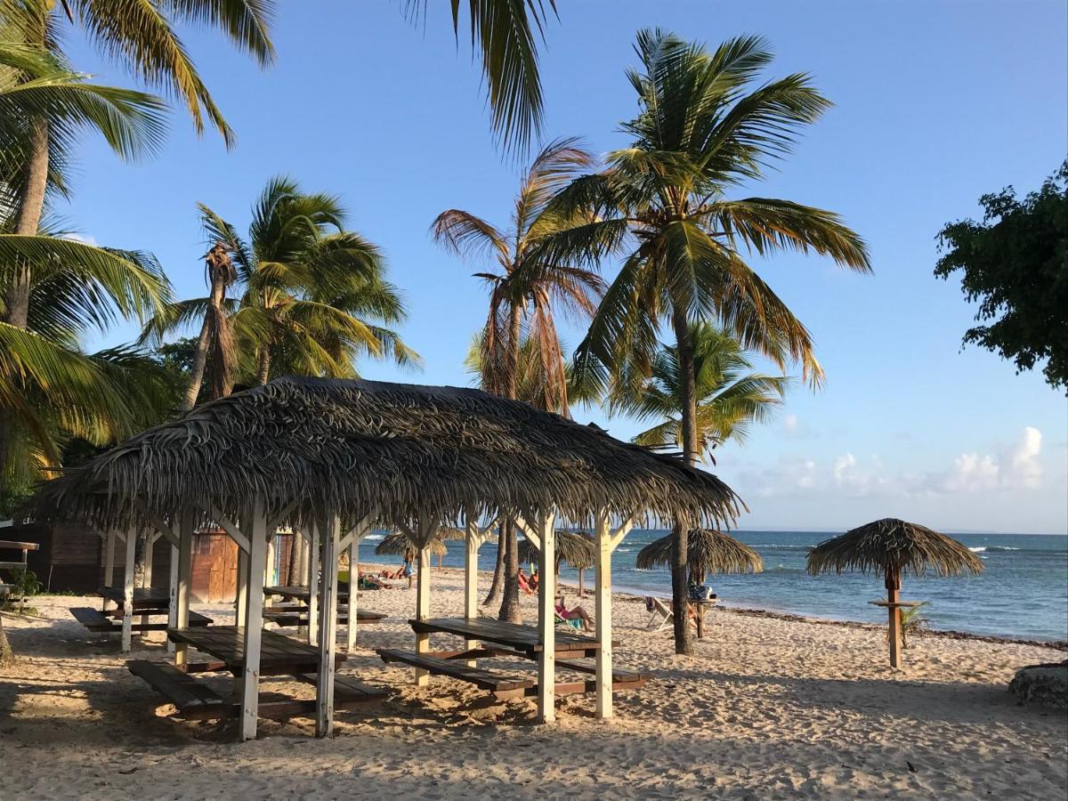 COEUR TIARE studio lounge piscine plage cocotiers Saint-Francois  Esterno foto